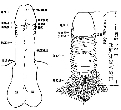 03_pix01