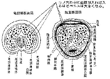 03_pix02